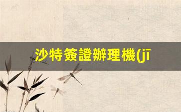 沙特簽證辦理機(jī)構(gòu)(沙特簽證辦理機(jī)構(gòu)名稱)