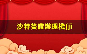 沙特簽證辦理機(jī)構(gòu)名稱(沙特簽證中心官網(wǎng))