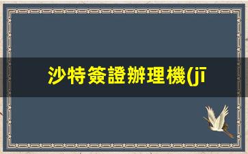 沙特簽證辦理機(jī)構(gòu)電話(沙特簽證政策)
