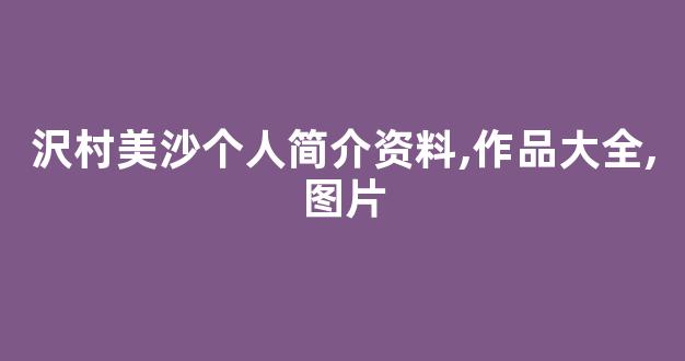 沢村美沙个人简介资料,作品大全,图片