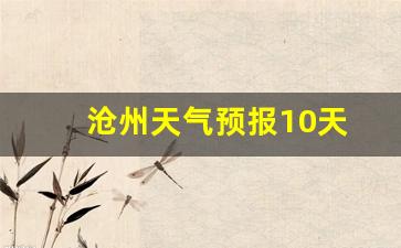 沧州天气预报10天查询结果_沧州天气预报10天