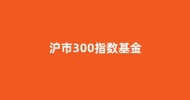 沪市300指数基金(沪指300指数基金现在估值)_https://www.gen-fastener.com_郑商所_第1张