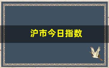 沪市今日指数(今天沪市指数000001)_https://www.eamstsz.com_创业板_第1张
