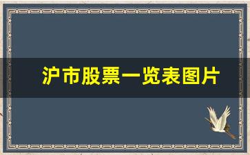 沪市股票一览表图片(沪市医药股票一览表)_https://www.brunchezvous.com_自驾游_第1张