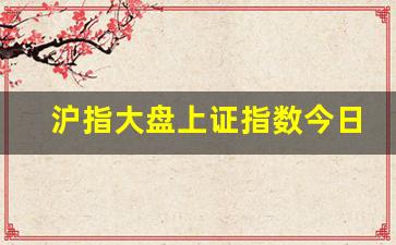 沪指大盘上证指数今日行情基金(沪指大盘上证指数走势)_https://www.heiljjianzu.com_北交所_第1张