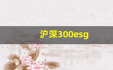沪深300esg(沪深300怎么开户交易)_https://www.shshucaipeisong.com_创业板_第1张