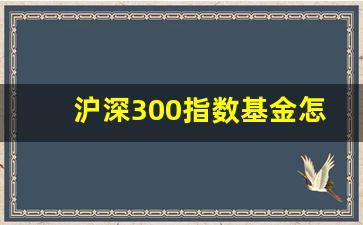沪深300指数基金怎么买明(沪深300股票指数基金怎么买)_https://www.qldgs.com_原油期货_第1张