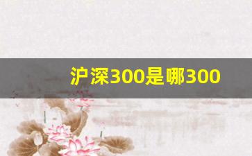 沪深300是哪300只股票名单(沪深300股票名单一览表最新)_https://www.heiljjianzu.com_科创板_第1张