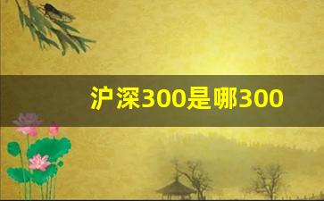 沪深300是哪300家(沪深300全称)_https://www.huakunhengjia.com_财经资讯_第1张