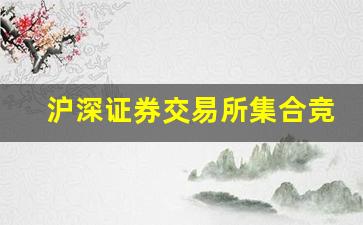 沪深证券交易所集合竞价时间(沪深证券交易所)_https://www.gzyhshgzzx.com_郑商所_第1张