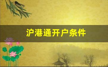 沪港通开户条件(沪港通开户条件20日均交易量 万元)_https://www.dongshengweixin.com_上交所_第1张