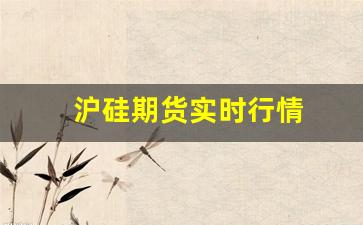 沪硅期货实时行情(沪镍期货实时行情走势图)_https://www.qldgs.com_期货_第1张