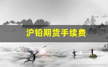 沪铅期货手续费(沪铅期货价格走势)_https://www.fzdzcxj.com_创业板_第1张