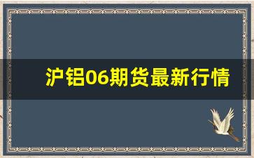 沪铝06期货最新行情今天(沪铝期货行情金投网)_https://www.senxinmaoyi.com_快递查询_第1张