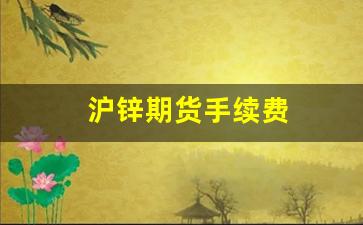 沪锌期货手续费(沪锌期货手续费是多少)_https://www.jnskb.com_设计报价_第1张