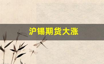 沪锡期货大涨(沪锡期货讨论吧)_https://www.fzdzcxj.com_上交所_第1张