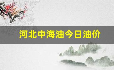 河北中海油今日油价-中海油河北销售分公司