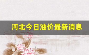 河北今日最新油价调整-河北今日油价最新消