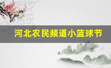 河北农民频道小篮球节目有哪些-河北农民频道小篮球节目