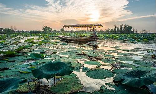 河北白洋淀景区天气_河北白洋淀景区天气预报