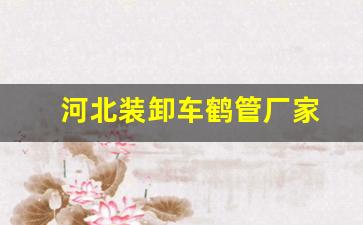 河北装卸车鹤管厂家(装卸车鹤管设计规范)(1)