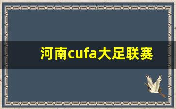 河南cufa大足联赛-河南省大学生足球锦标赛