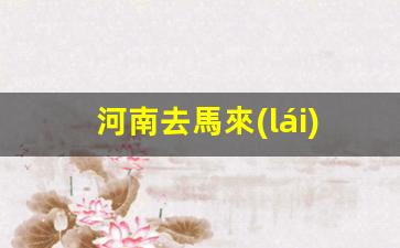 河南居民辦理馬來(lái)西亞簽證及乘機(jī)前往馬來(lái)西亞攻略指南