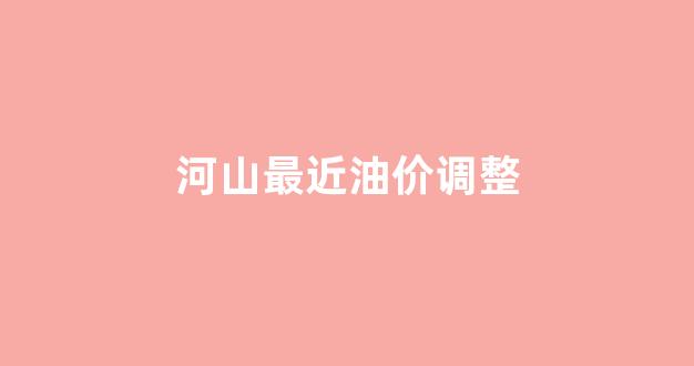 河山最近油价调整_饶河油价
