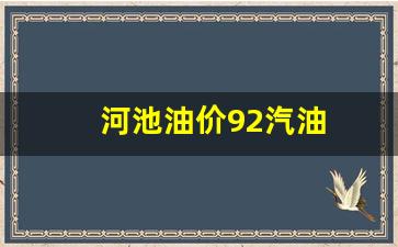 河池油价92汽油-河池92号汽油价格