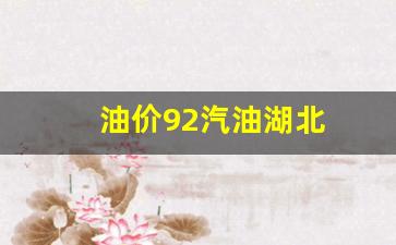 油价92汽油湖北-湖北油价92汽油价格