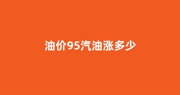 油价95汽油涨多少_95汽油上涨