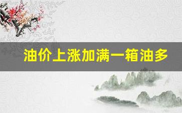 油价上涨加满一箱油多花8元怎么办呢-油价