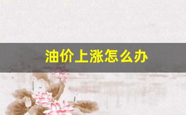 油价上涨怎么办-油价上涨怎么调整
