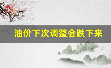 油价下次调整是涨还是降-油价下次调整会跌下来吗