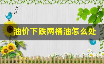 油价下跌两桶油怎么处理-油价跌了