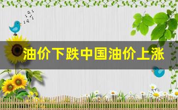 中国油价会上涨吗-油价下跌中国油价上涨了