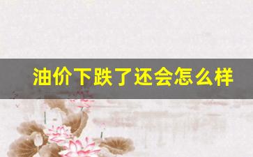 油价下跌了还会怎么样吗-油价下跌了还会怎么样