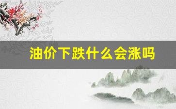 油价持续下跌-油价下跌什么会涨吗