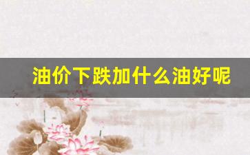 油价下跌加什么油好呢-油价下跌加什么油好呢现在