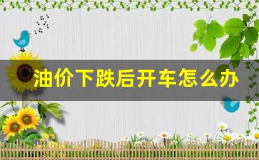 油价下跌后开车怎么办-如果油价持续下跌