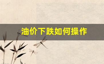 油价下跌专家怎么说-油价下跌如何操作