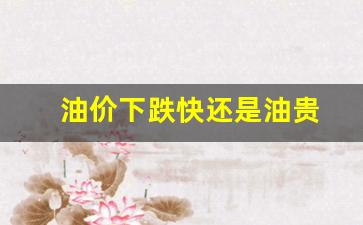 油价下跌快还是油贵-油价下跌快还是油贵呢