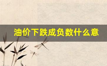 油价下跌成负数什么意思呀-油价下跌成负数什么意思