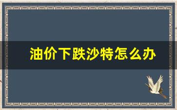 油价下跌沙特怎么办-沙特石油降价后油价