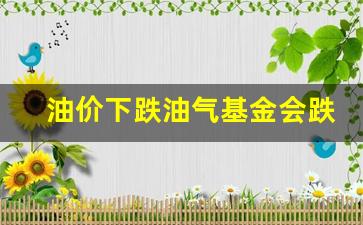 油价下跌油气基金会跌吗-油价涨了基金会涨吗?