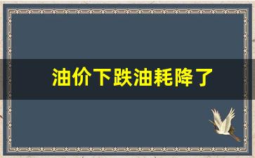 油价降低有什么影响-油价下跌油耗降了