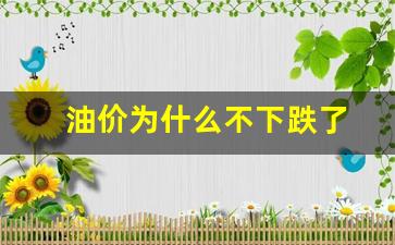 油价为什么不下跌了-油价为什么不断上涨