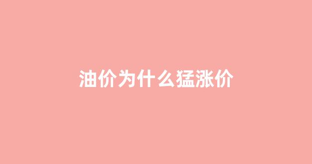 油价为什么涨钱_油价为什么猛涨价