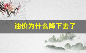 油价为什么降下去了-油价为啥降了