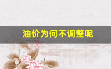 油价为什么不稳定-油价为何不调整呢